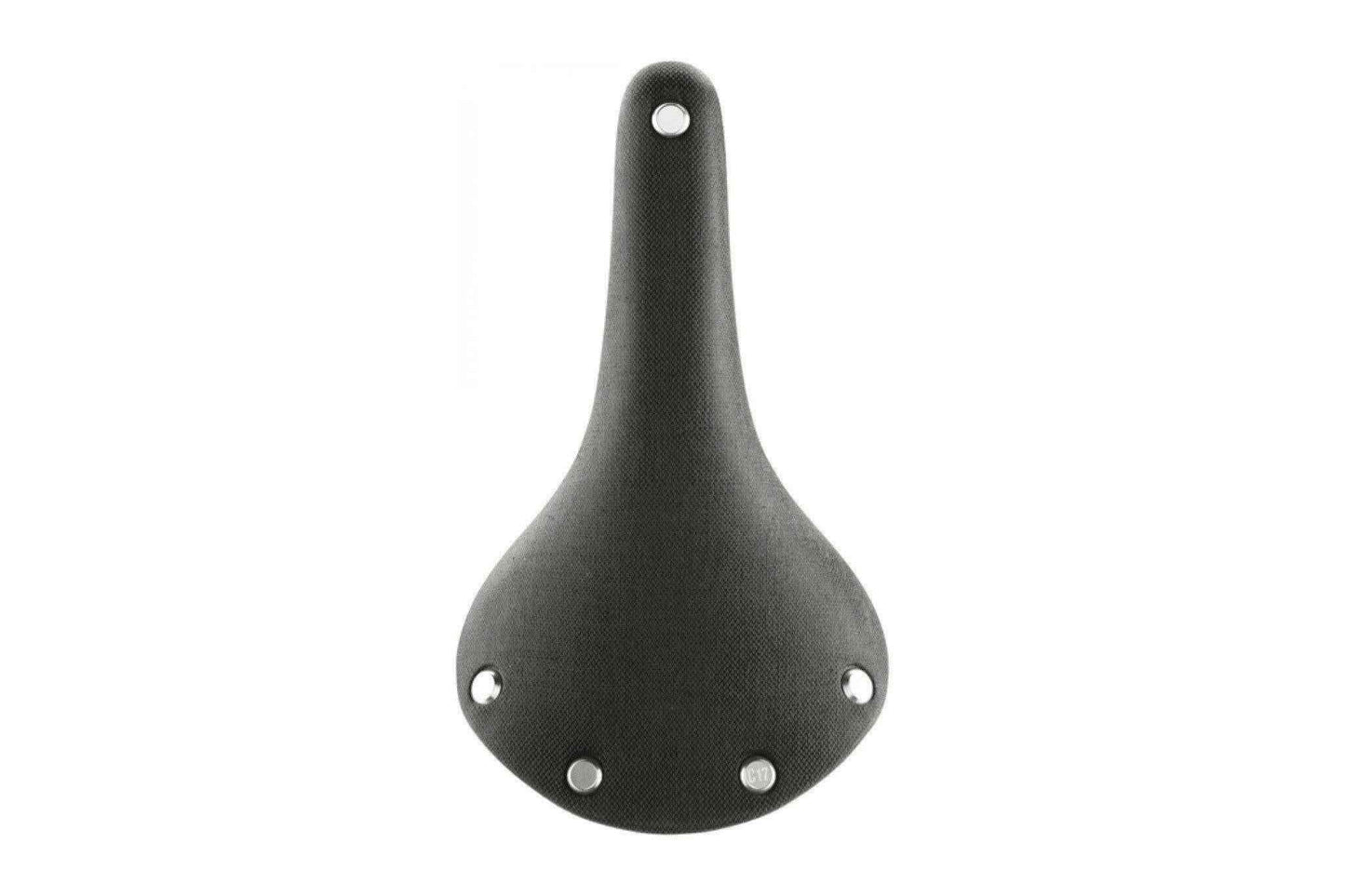 Brooks Cambium C17 Saddle.