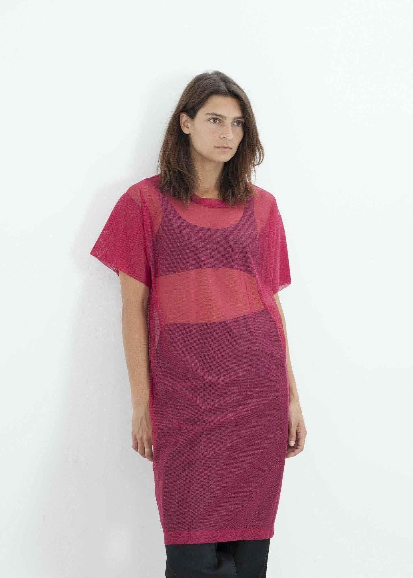 Mesh Over Dress in Pink.