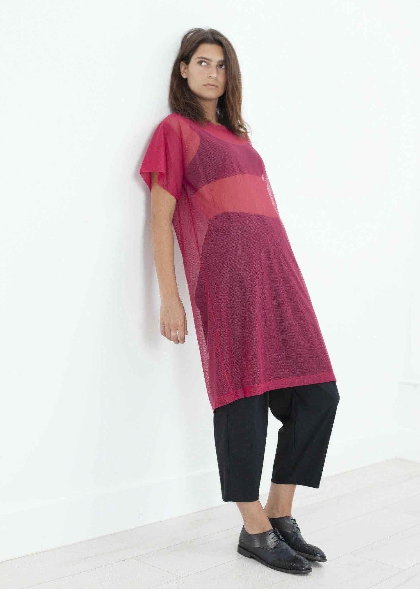 Mesh Over Dress in Pink.