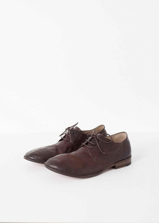 Marsacco Lace Up in Bark.