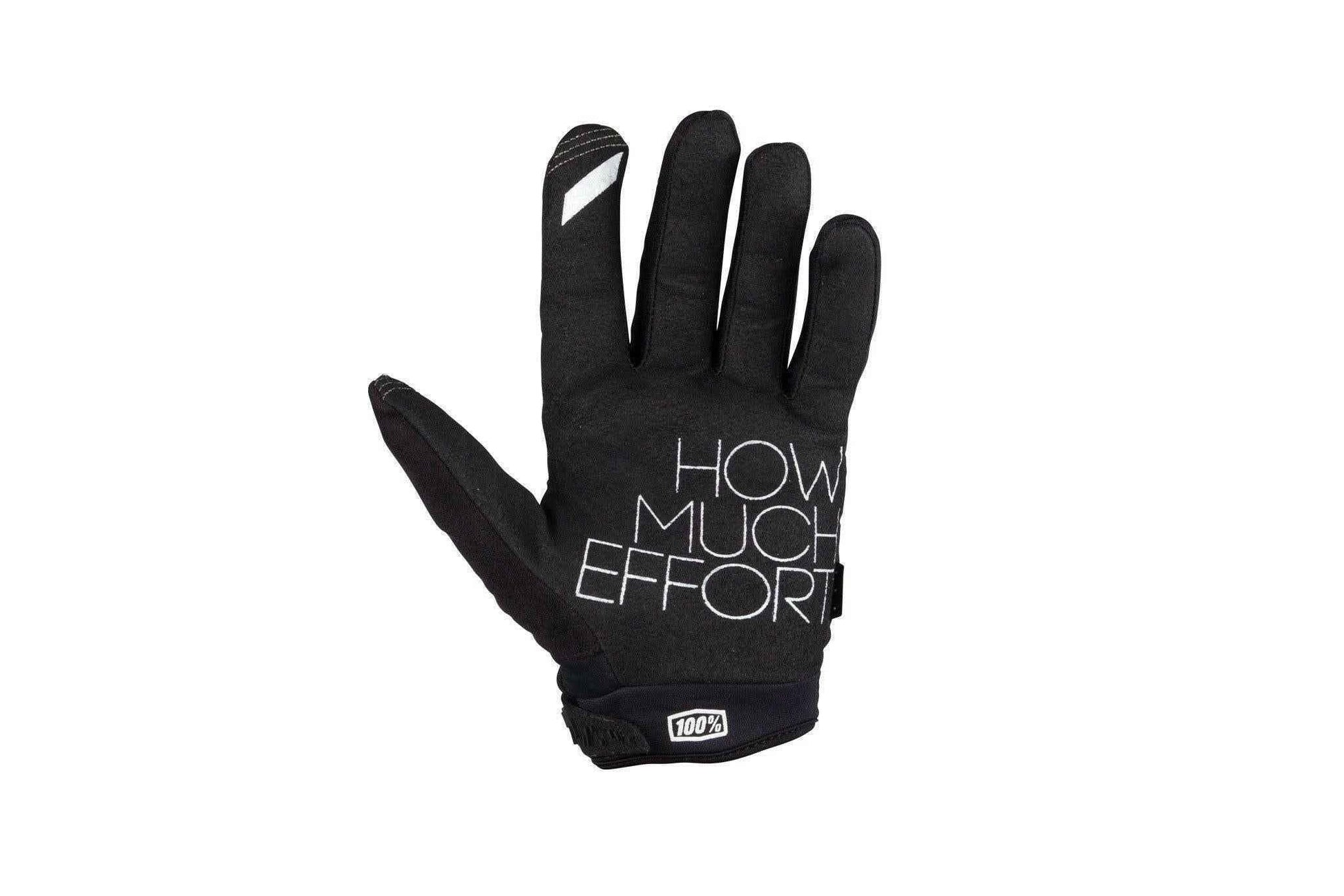 Brisker Cold Weather Riding Gloves.