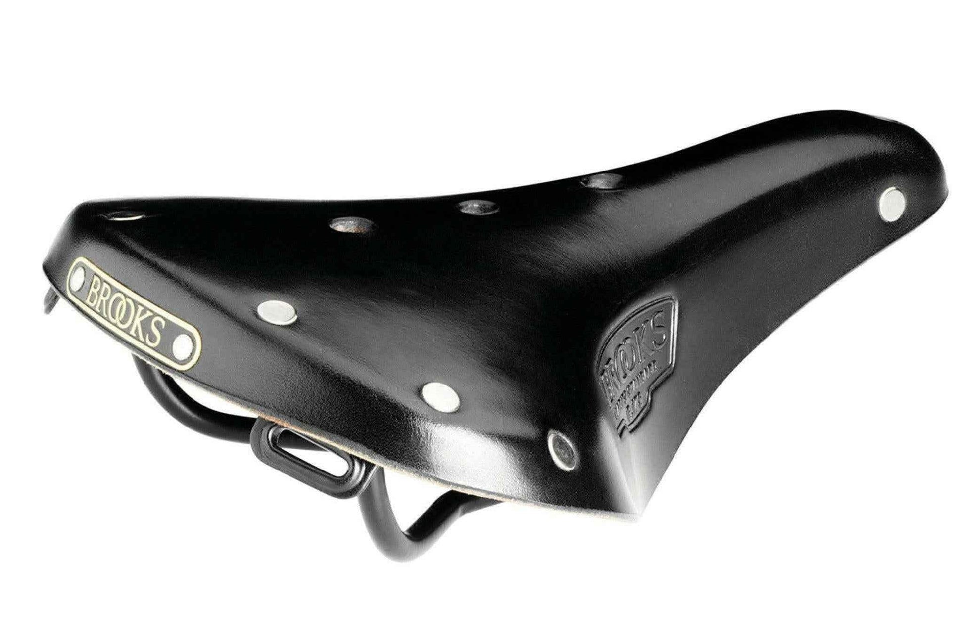 Brooks B17 Saddle.