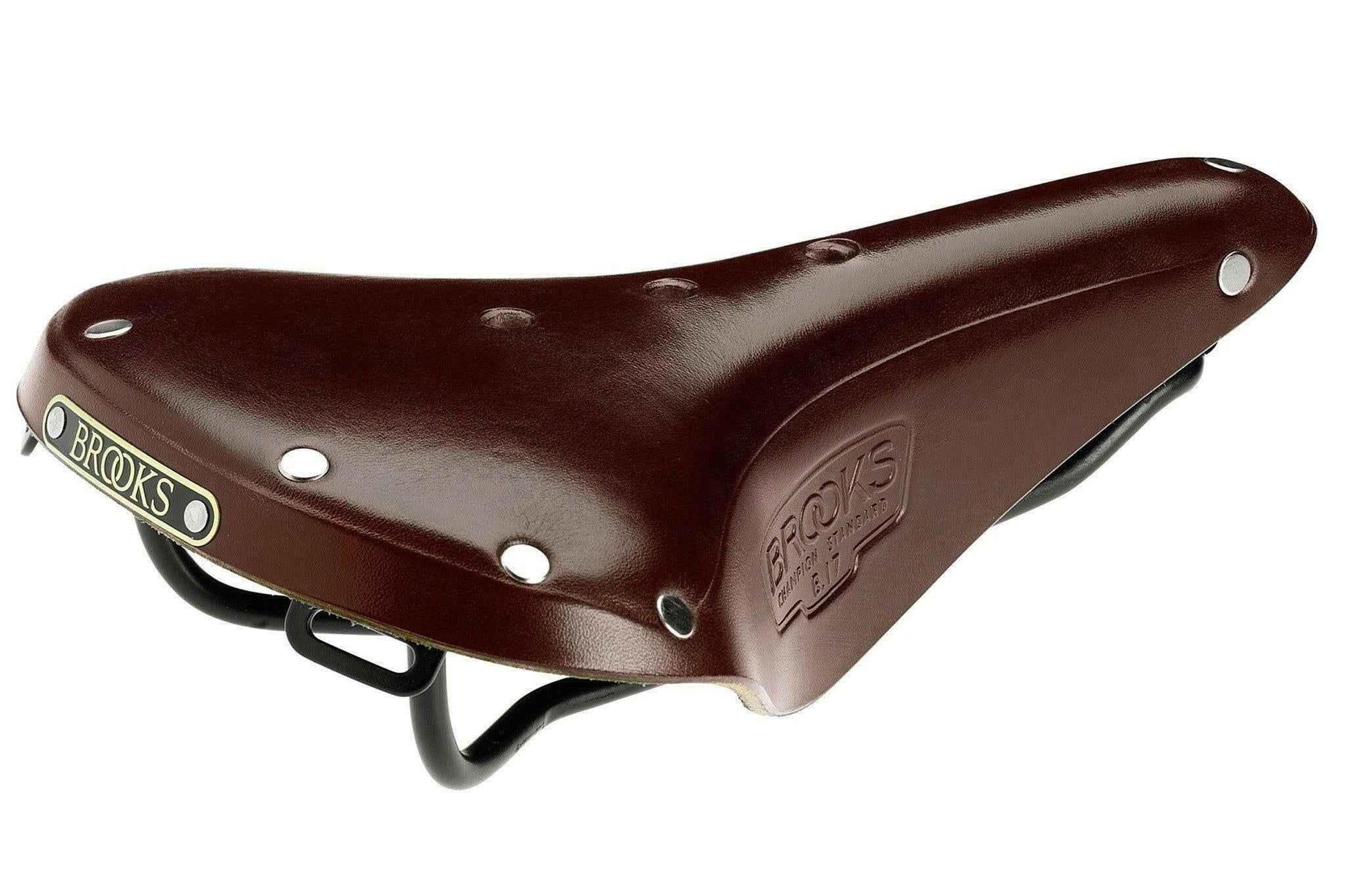 Brooks B17 Saddle.