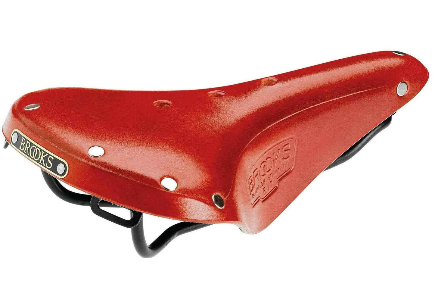 Brooks B17 Saddle.