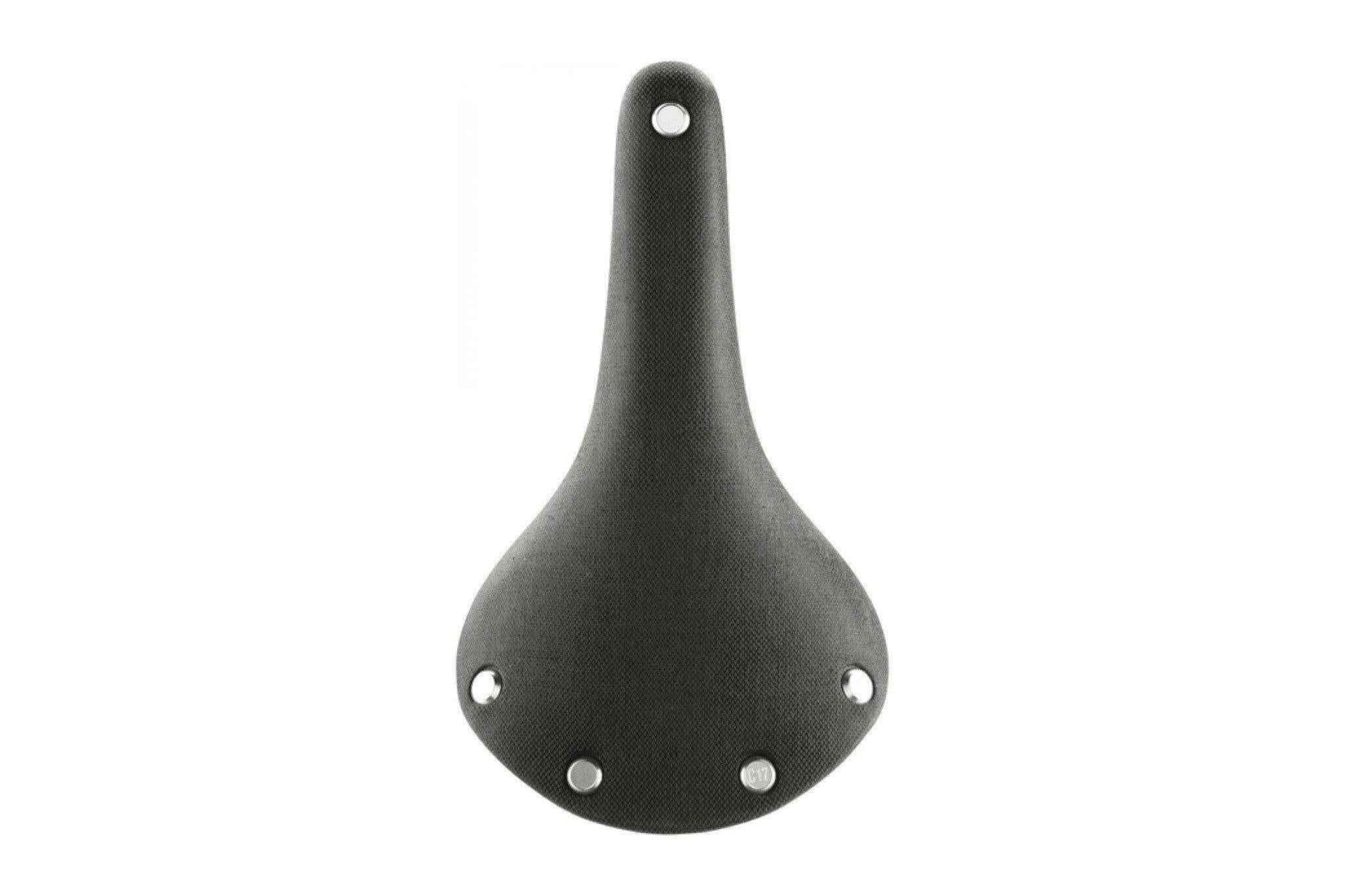 Brooks Cambium C17 Saddle.