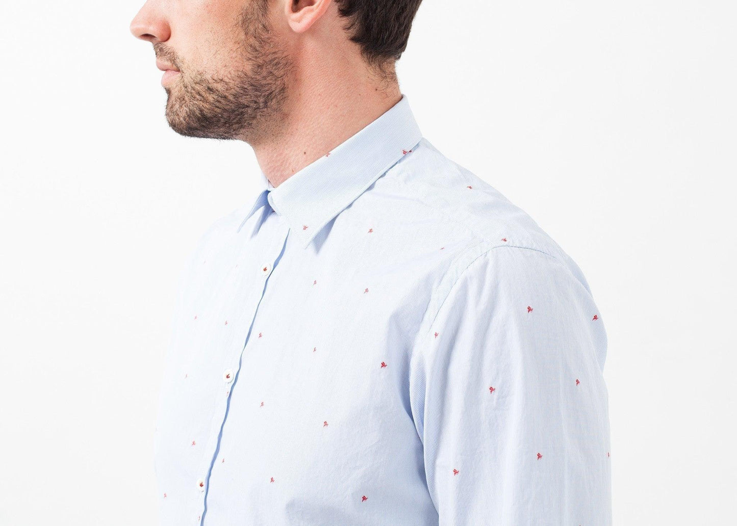 David Shirt.