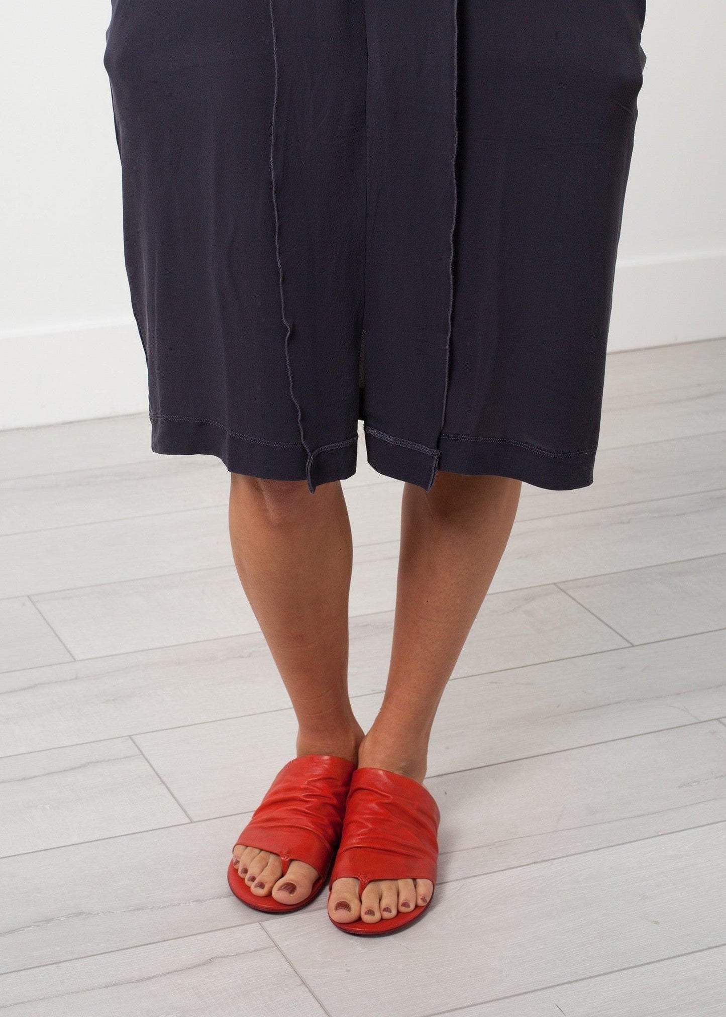 Long Sleeve Silk Dress.