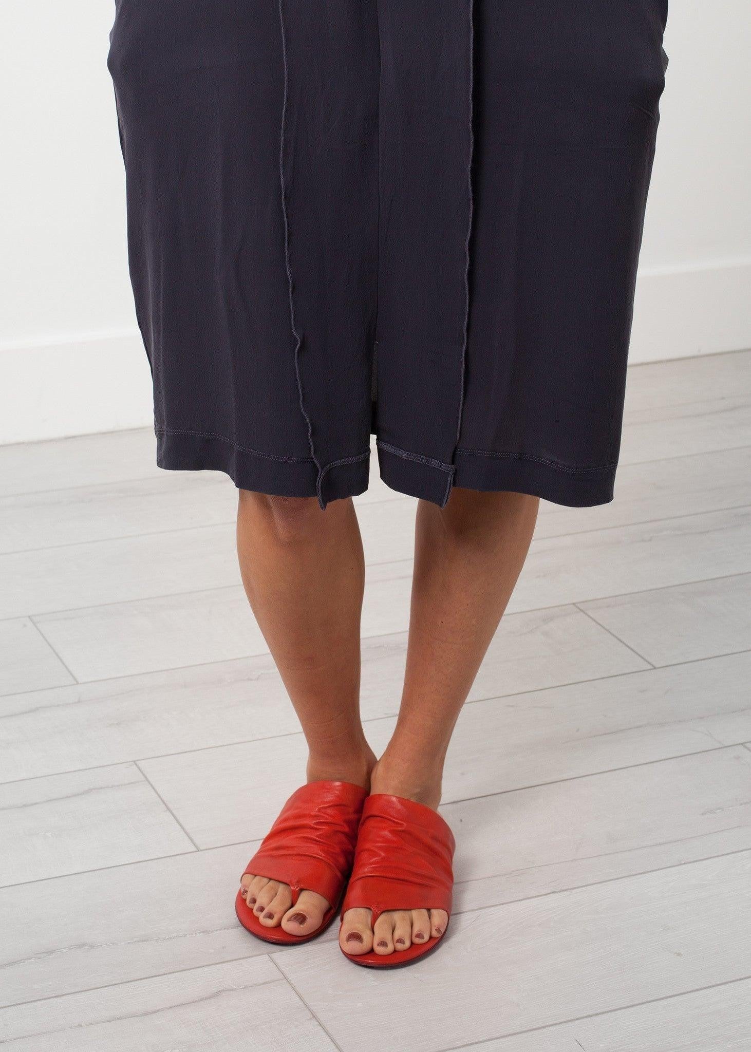 Long Sleeve Silk Dress.