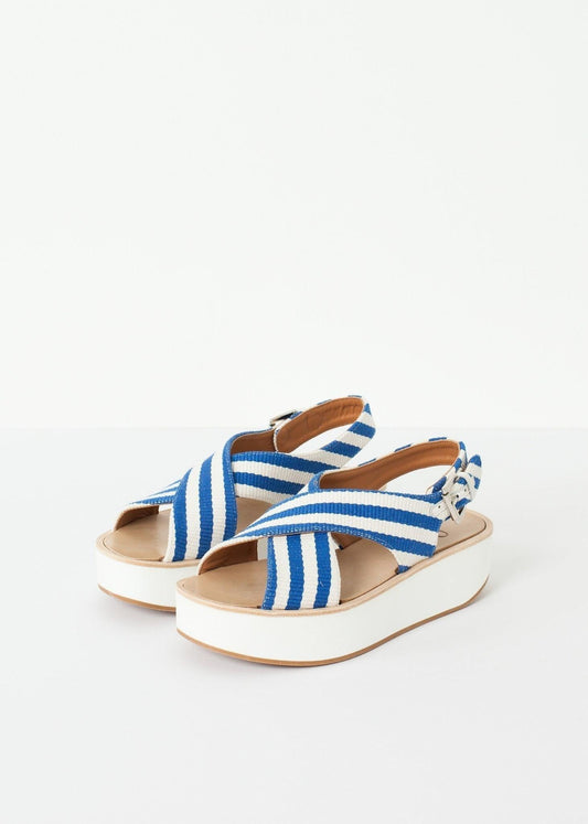 Malabar Sandal.